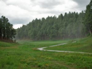 Forest Highlands (Canyon) 18th Tee